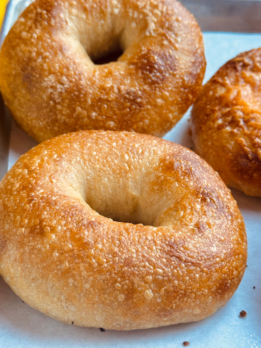 Three bagels on a white plate with a blurred background