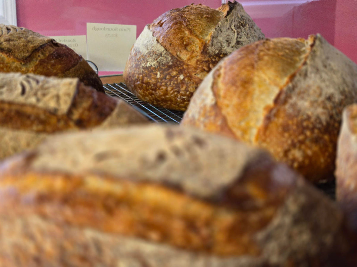 Assorted loaves of bread on a cooling rack with a pink wall in the background.