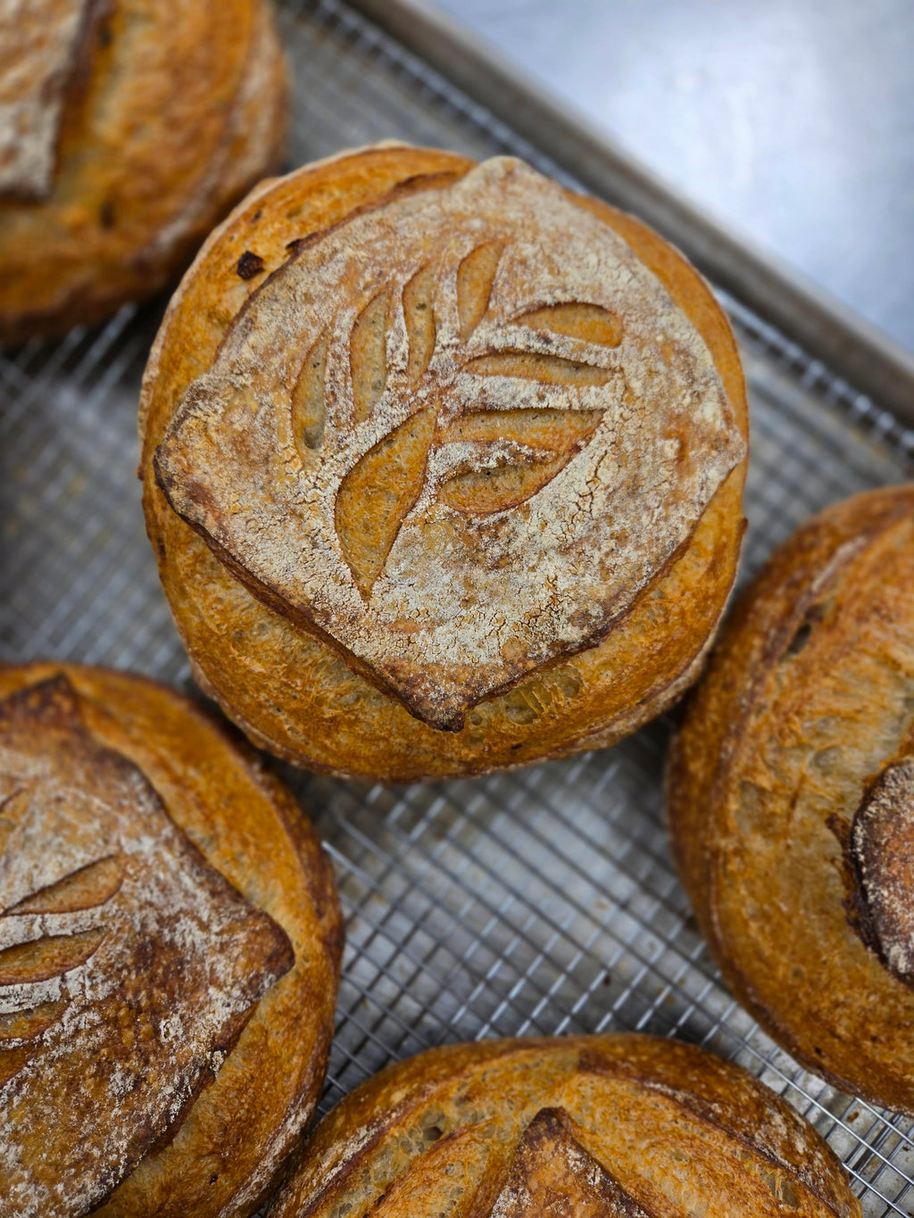 Close-up of bread loaves with a leaf design on a cooling rack.