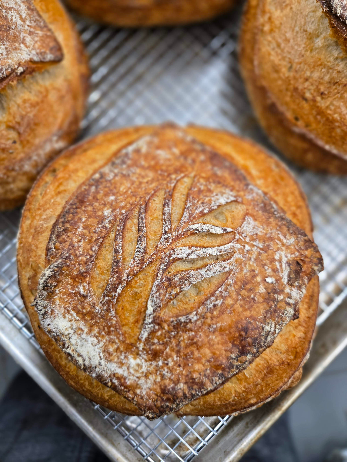 Loaves of bread with a leaf design on a cooling rack