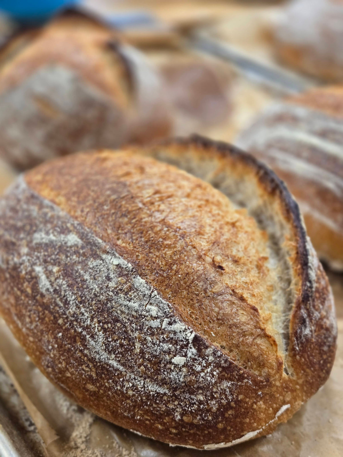 Close-up of a loaf of bread with a rustic crust.