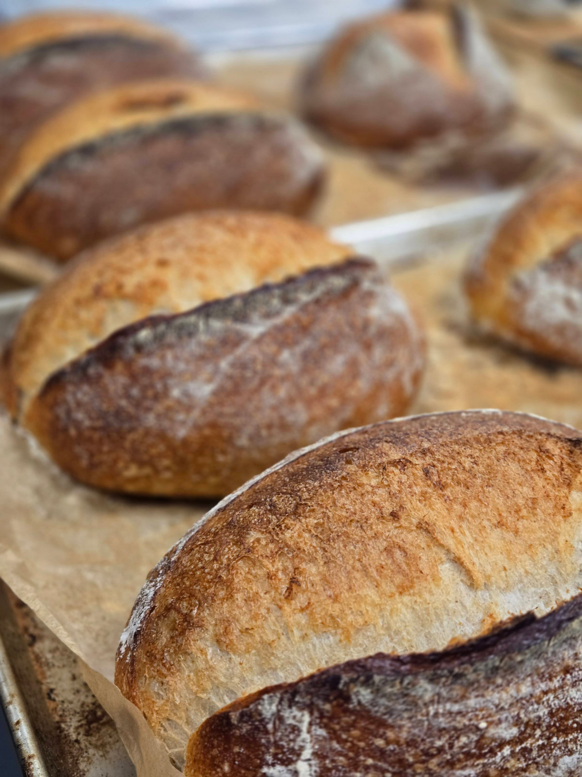 Close-up of rustic bread with a focus on texture and color.