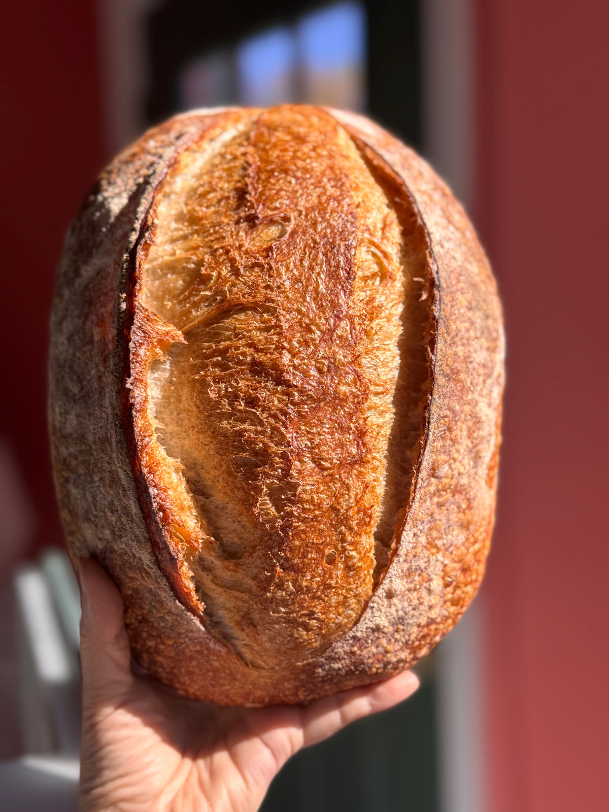 Hand holding a loaf of rustic bread against a blurred background